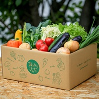 朝採れ　旬の野菜BOX〈M〉 送料無料