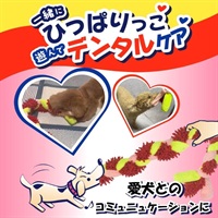 【アース・ペットターキー】いぬモテ はみがきロープ　イチゴ色　100ｃｍ